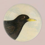 John Derian Alpine Chough Paperweight