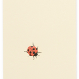 Mini Embossed Flat Card, Ladybird