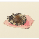 Sheep's Wool Embellished Mini Card, Cat on Cushion