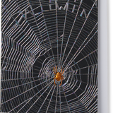 Engraved Spider Web "Happy Halloween" Foiled Greeting Card
